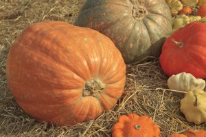 10-27a