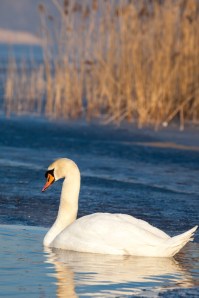 ????????????????????????????????????????????