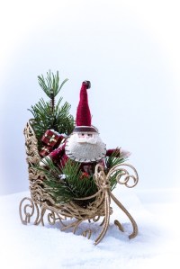 ?????????????????????????????????????????????