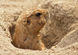 ?????????????????????????????????????