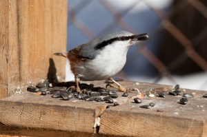 ????????????????????????