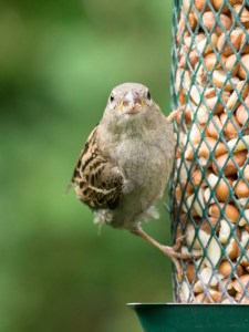 ???????????????????????