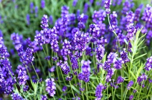 ?????????????????????????????????????