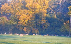 ???????????????????????????????