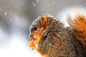 ?????????????????????