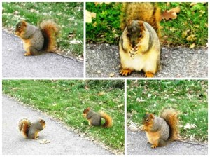 11-27-14THANKSGIVING