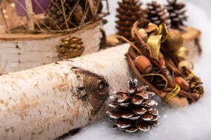 ??????????????????????????????????