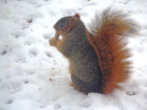 ???????????????????????????????