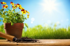 ?????????????????????????????????????????????????????????????