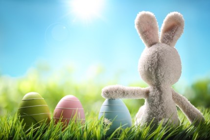 Sugar rabbit and easter eggs on meadow.