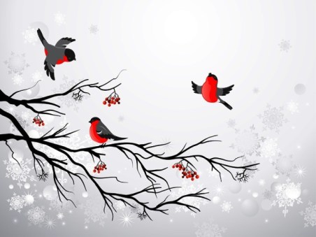 Branch and birds bullfinch