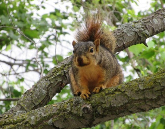09-13-17 looking down at me