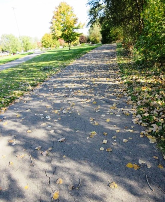 Leaves littering the pathway