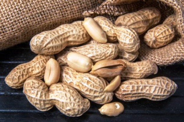 Peanut