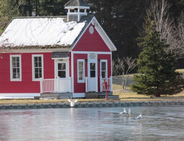 gulls in front of red schoolhouse