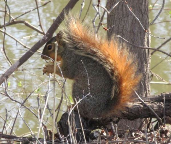 away from the maddening crowd