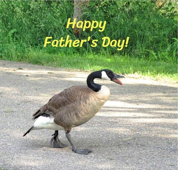 HEADER WITH TEXT FINAL