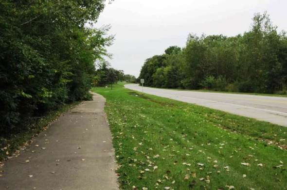 look at all the leaves.jpg