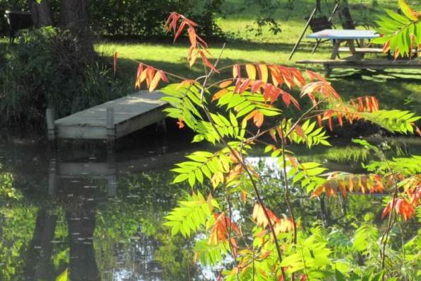 red and green at dock.jpg