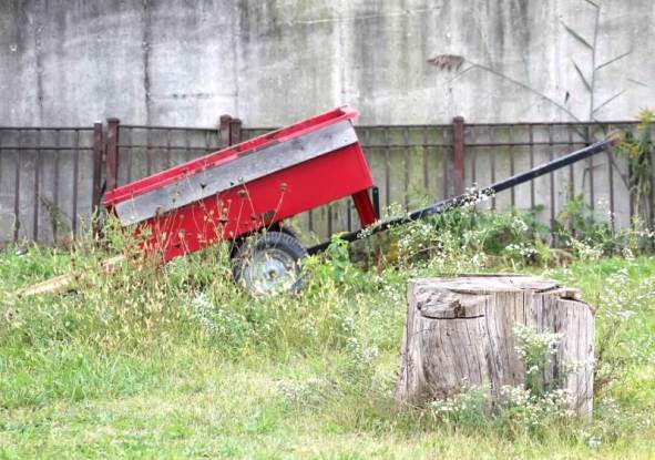 wagon and old stump.jpg