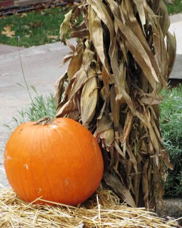 pumpkin solo on emmons.jpg