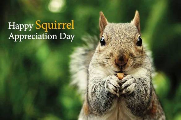 squirrel appreciation day (wild birds unlimited)